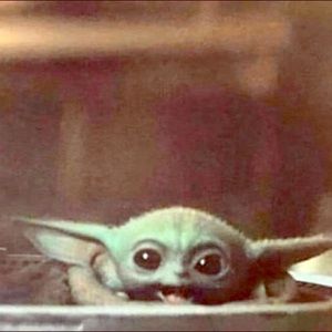 Meet your Posher, Lisette